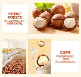 「坚果零食推荐」薄壳奶油味夏威夷果，新货特产两袋装，送上开果器，又香又脆吃起来真带劲