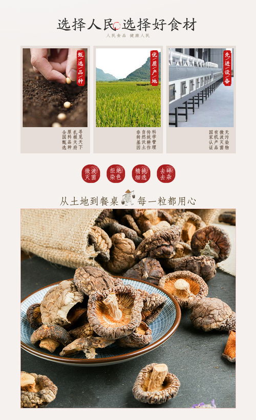 品味自然馈赠 有机香菇干——来自东北的山珍首选