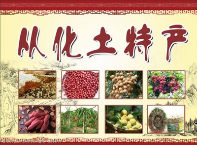 寻觅从化本味 土特产背后的山水与乡愁